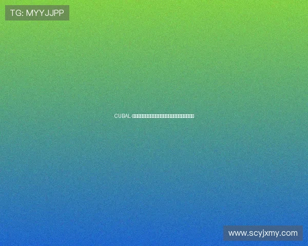 CUBAL-季楷皓和张力强带领郑州大学夺得第九,赛场绽放光芒 CUBAL-季楷皓和张力强带领郑州大学夺得第九,赛场绽放光芒